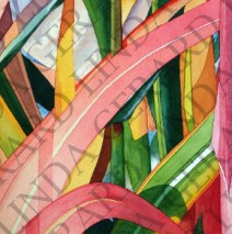 Ornamental Grasses 3