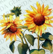 Sunflowers